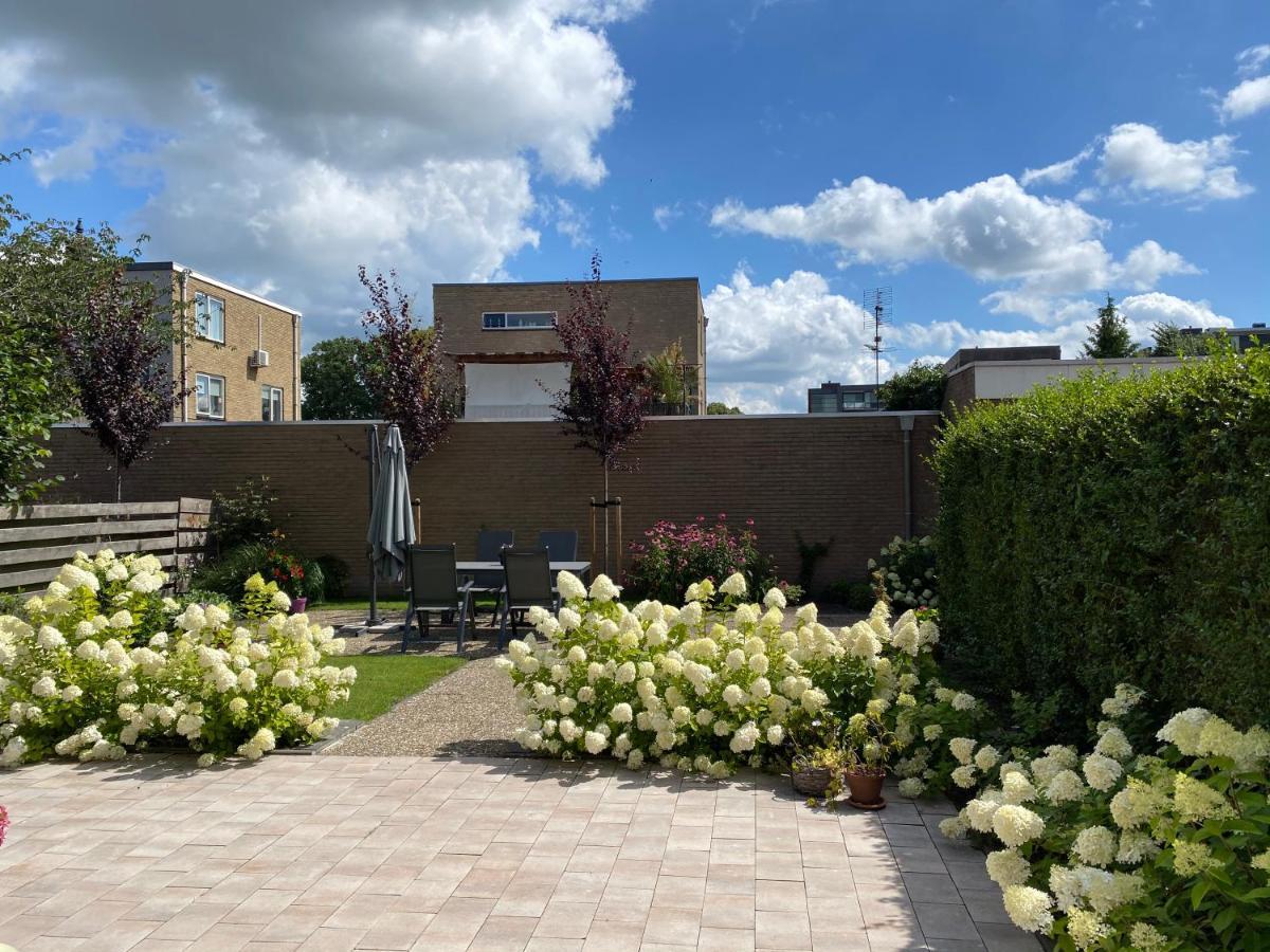 Studio Brinkstraat Hoogeveen Buitenkant foto
